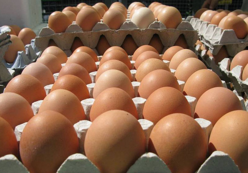 Shipping Cartons for eggs 