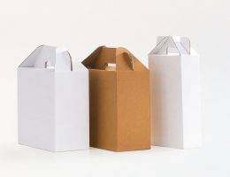 6 Bottle Wine Carry Pack