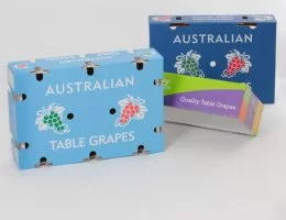 Grape Cartons