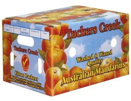 Unwaxed Cartons
