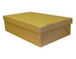 Leak Proof Carton
