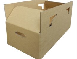 Poultry Carton
