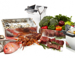 Thermal Packaging / Insulated Boxes