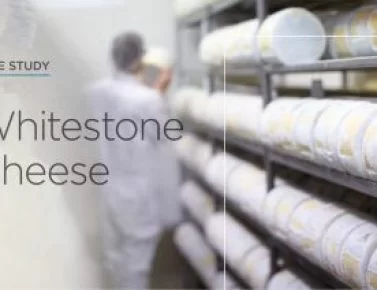Chilltainer - Whitestone Cheese