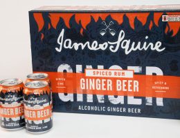Custom Beer Can Boxes – Large 24 Pack
